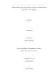 Sital Rijal, MSD final thesis.pdf.jpg