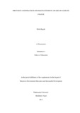 Shiba_thesis-final.pdf.jpg